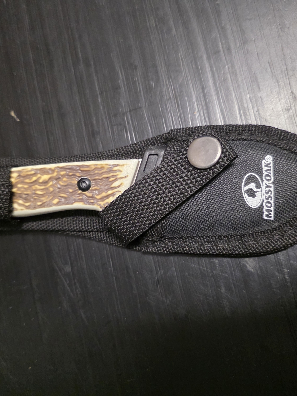 Mossy Oak Brown Stag-Handle Pocket Knife with Black Nylon Sheath